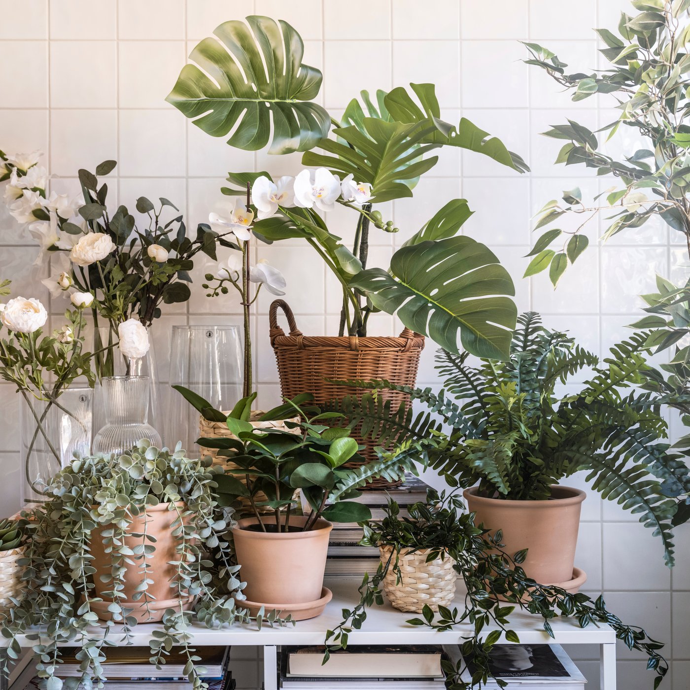 An in/outdoor terracotta MUSKOTBLOMMA plant pot with saucer