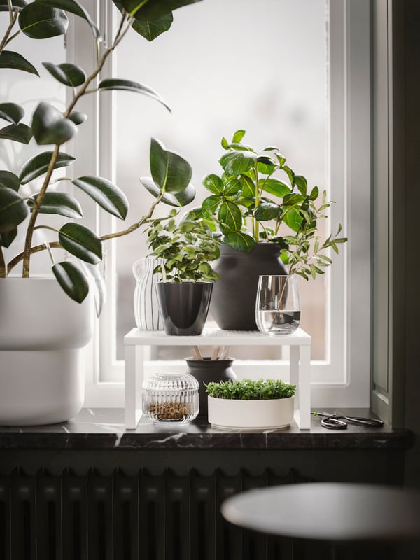 A white VARIERA insert shelf is standing next to a big pot on a windowsill with smaller pots stacked under and on top of it.