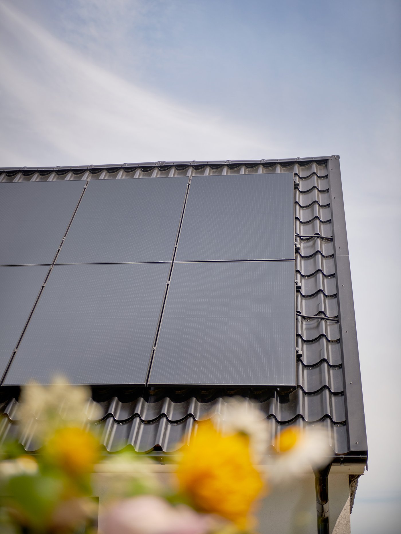 Solar panels mounted on a roof, with blurred flowers in the foreground.