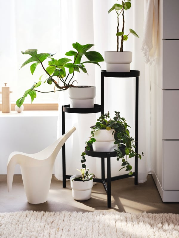 Un soporte para tres plantas OLIVBLAD negro con maceteros blancos FÖRENLIG. En cada macetero hay una planta diferente.