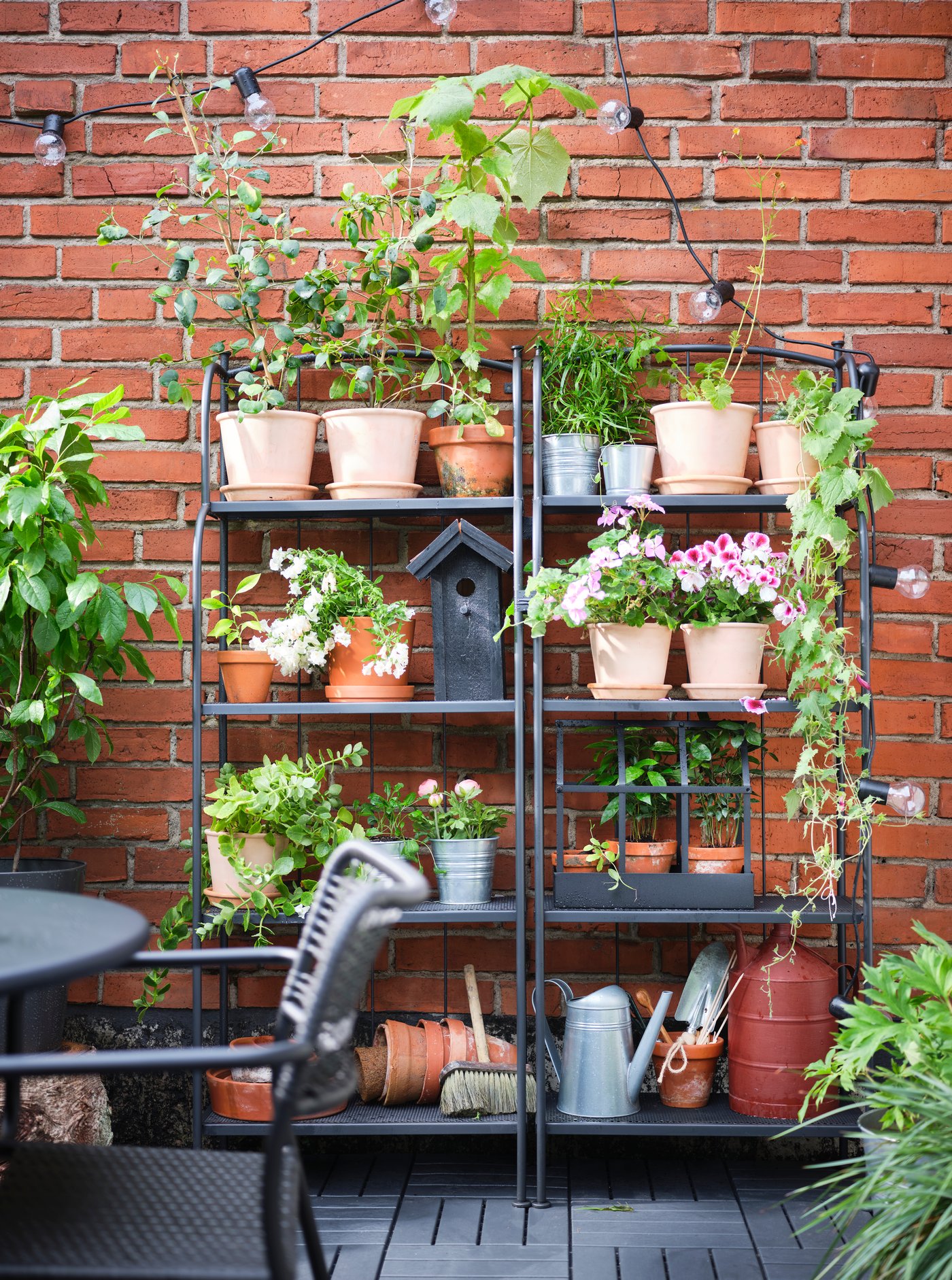 An in/outdoor terracotta MUSKOTBLOMMA plant pot with saucer
