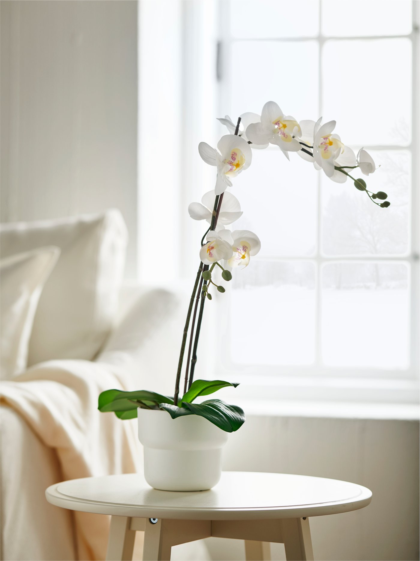 Atificial plants and flowers