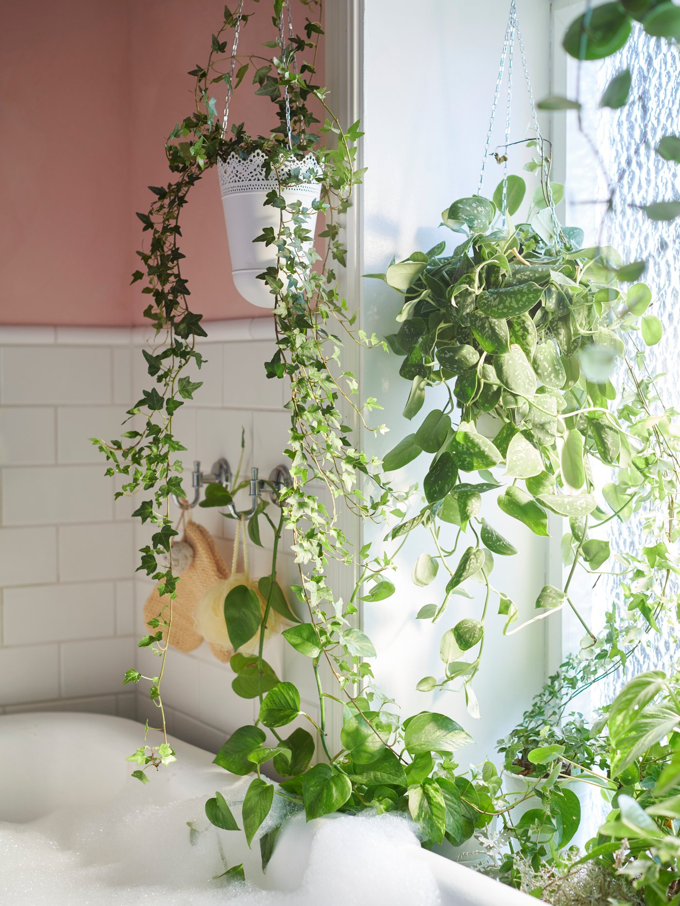 An off-white, indoor/outdoor SKURAR hanging planter holds a dangling vine by a window full of potted plants beside a bathtub.