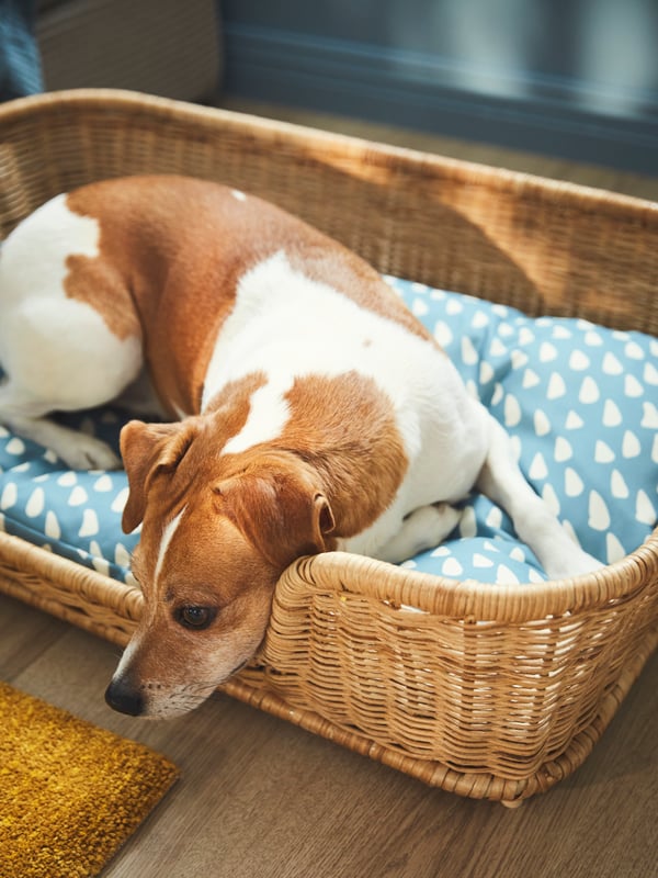 A blue UTSÅDD pet cushion