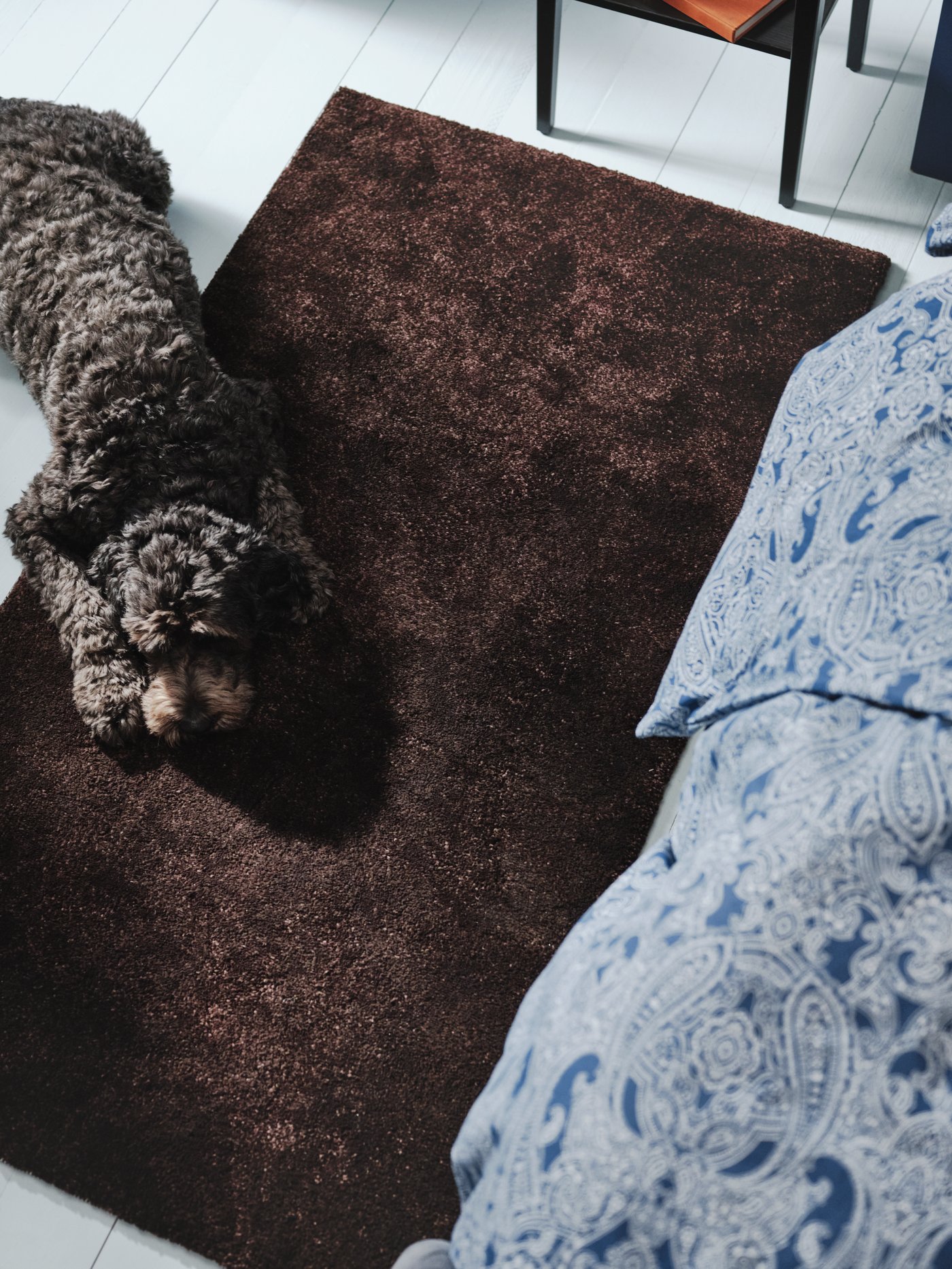 A dark brown STOENSE rug with low pile with a dog resting on it beside a bed made with paisley-patterned bed linen.