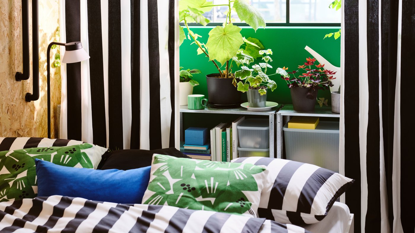 Plantes en pots sur une étagère HYLLIS placée devant une fenêtre avec un rideau confectionné à partir de tissu prédécoupé VARGTÖREL.