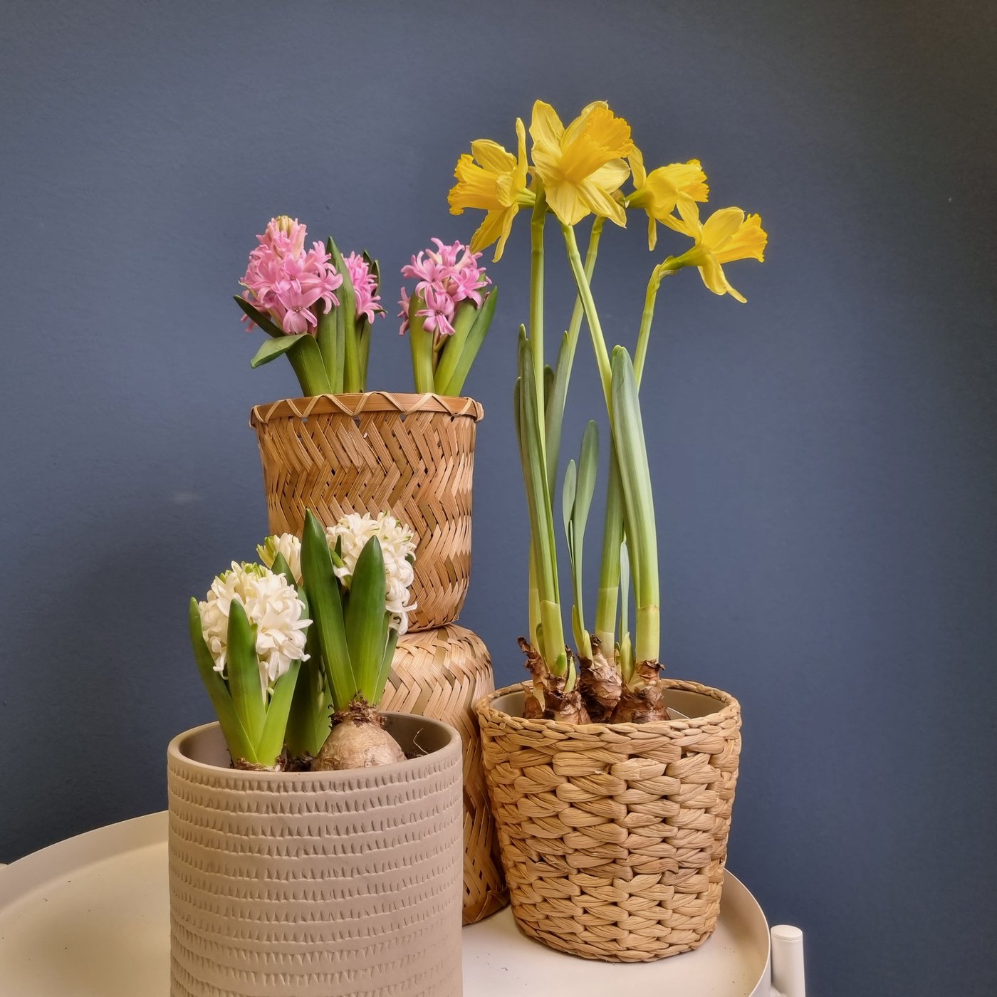 Trois cache-pots IKEA