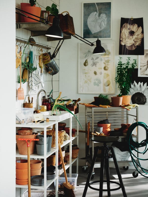 A table with growing supplies