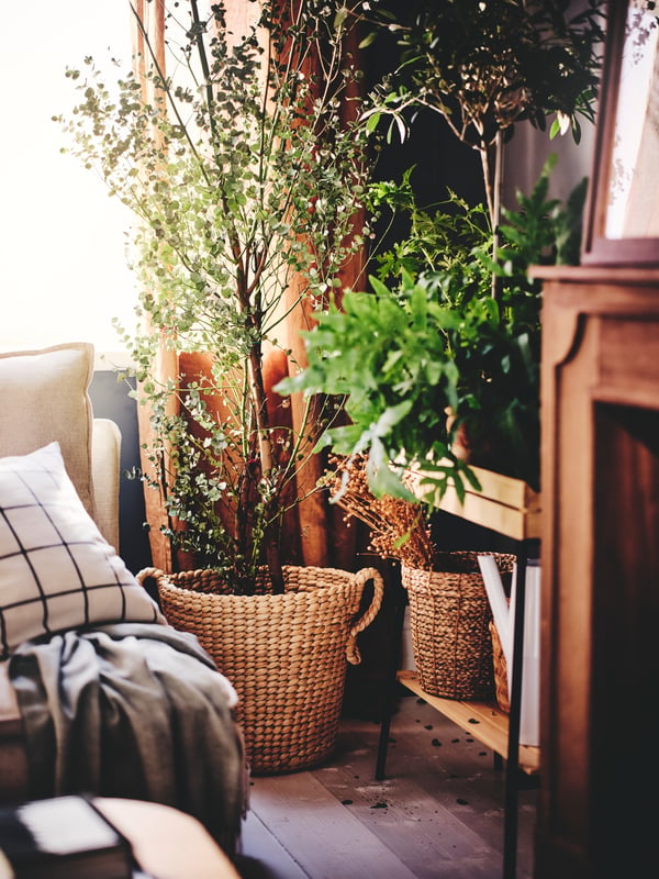 Vertical plant stands for a structured look