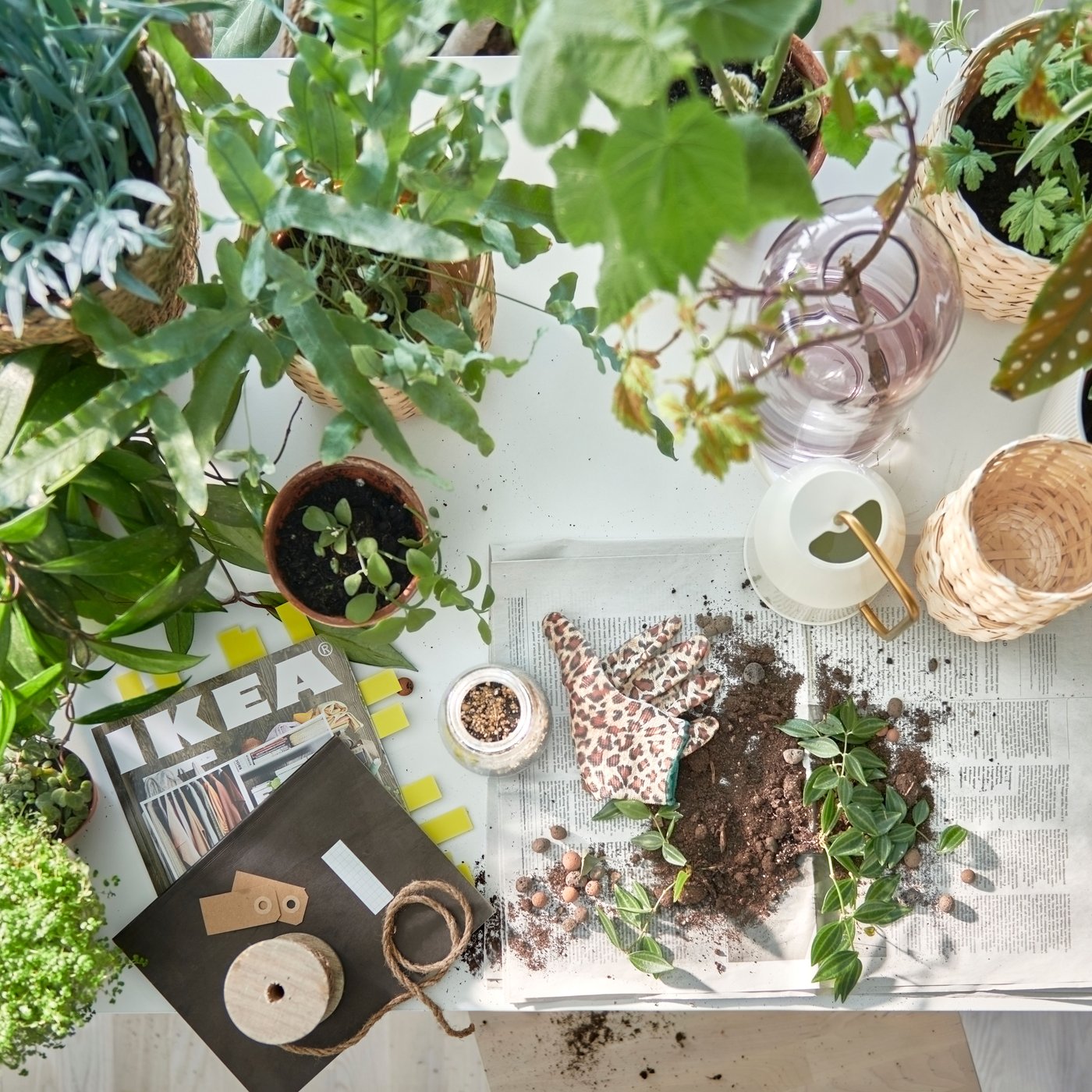 A table prepped for potting plants, plenty of green plants in pots, a VATTENKRASSE watering can and soil on newspaper pages.