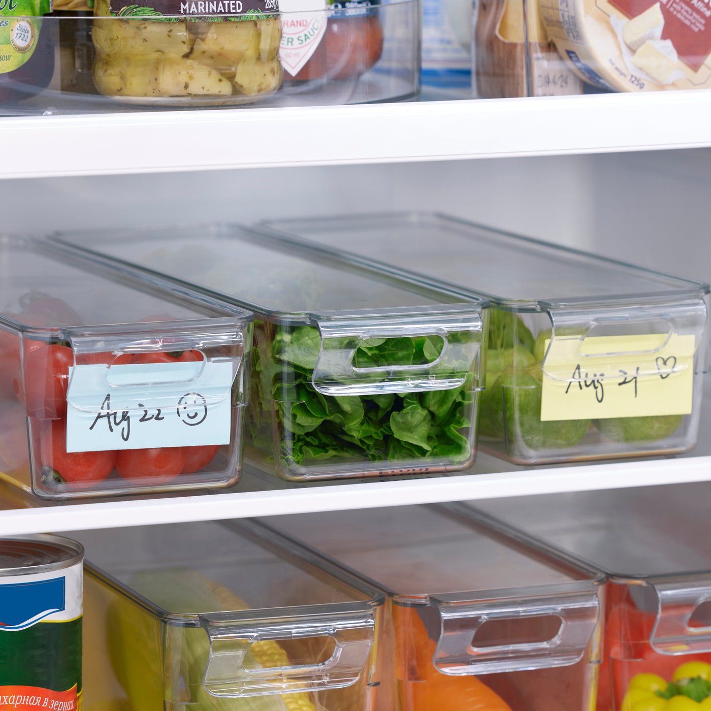 A transparent KLIPPKAKTUS storage box for fridge in the NA