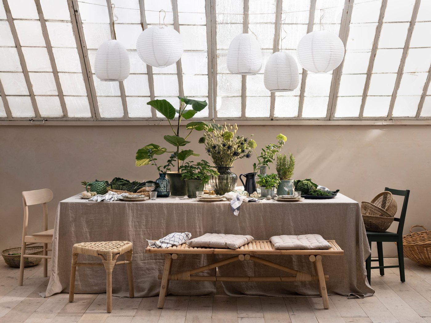 Style your home with indoor plant decor