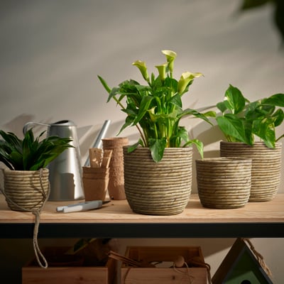 Plantas, vasos e floreiras