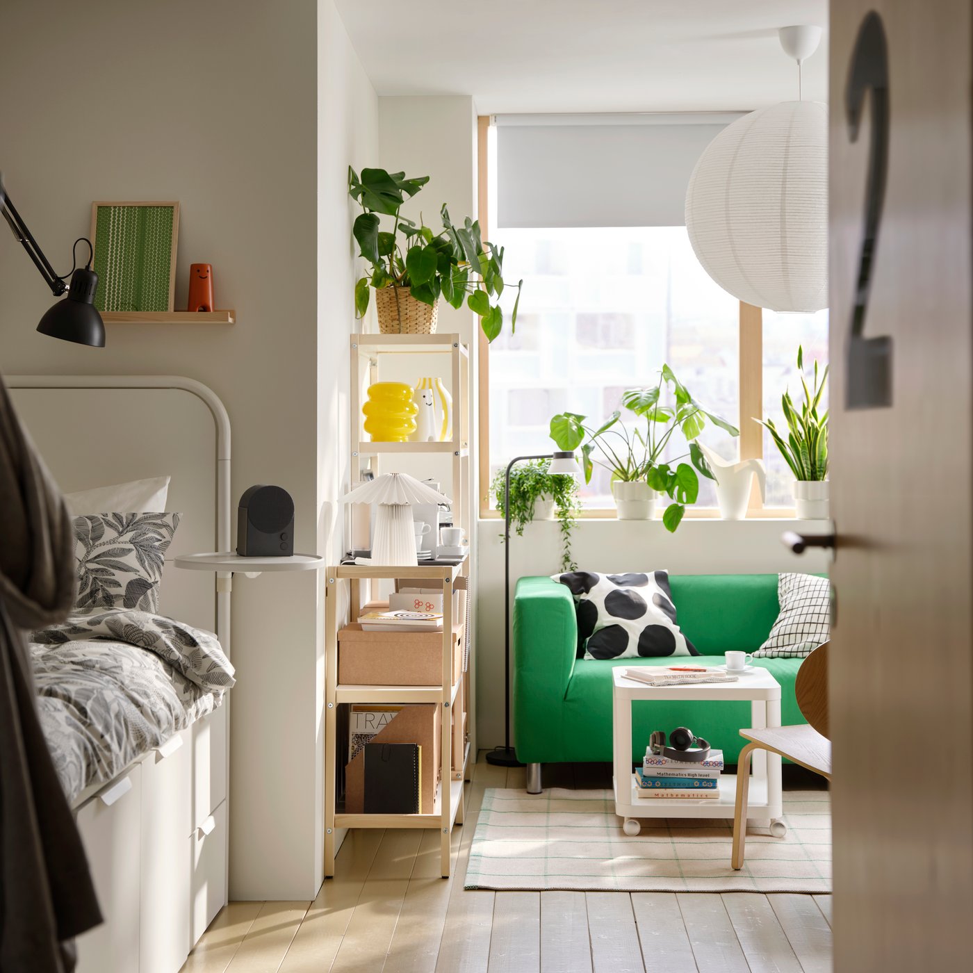 Discover Seasonal Collections
