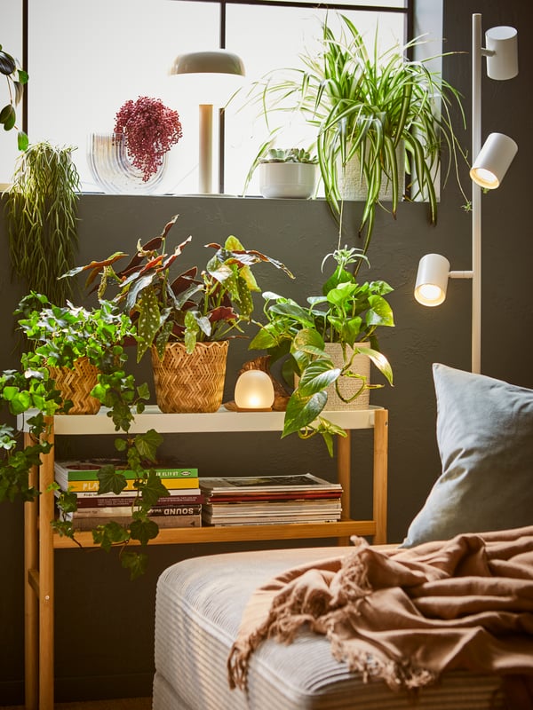 Soporte para plantas SATSUMAS con varias flores encima, frente al soporte se ve un sofá con un cojín.