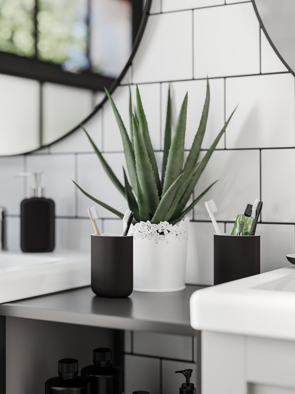 Due portaspazzolini grigio scuro e una pianta di aloe vera su uno scaffale tra due lavabo bianchi con mobili grigi.