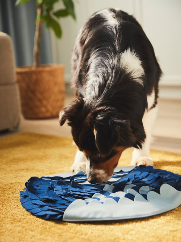 Una alfombra olfativa para perro UTSÅDD.
