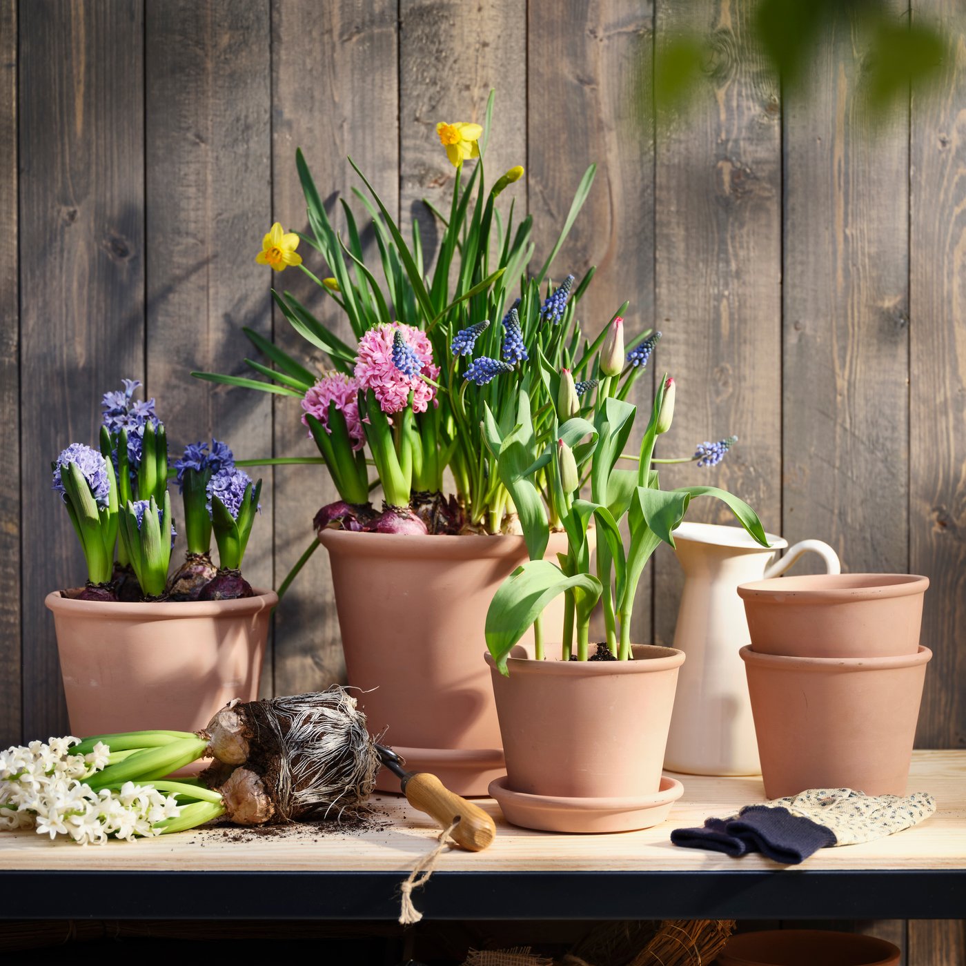 Une variété de plantes et fleurs IKEA.