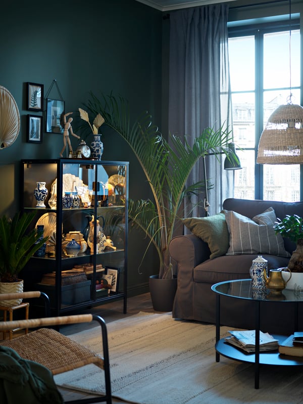 Plant and a cabinet