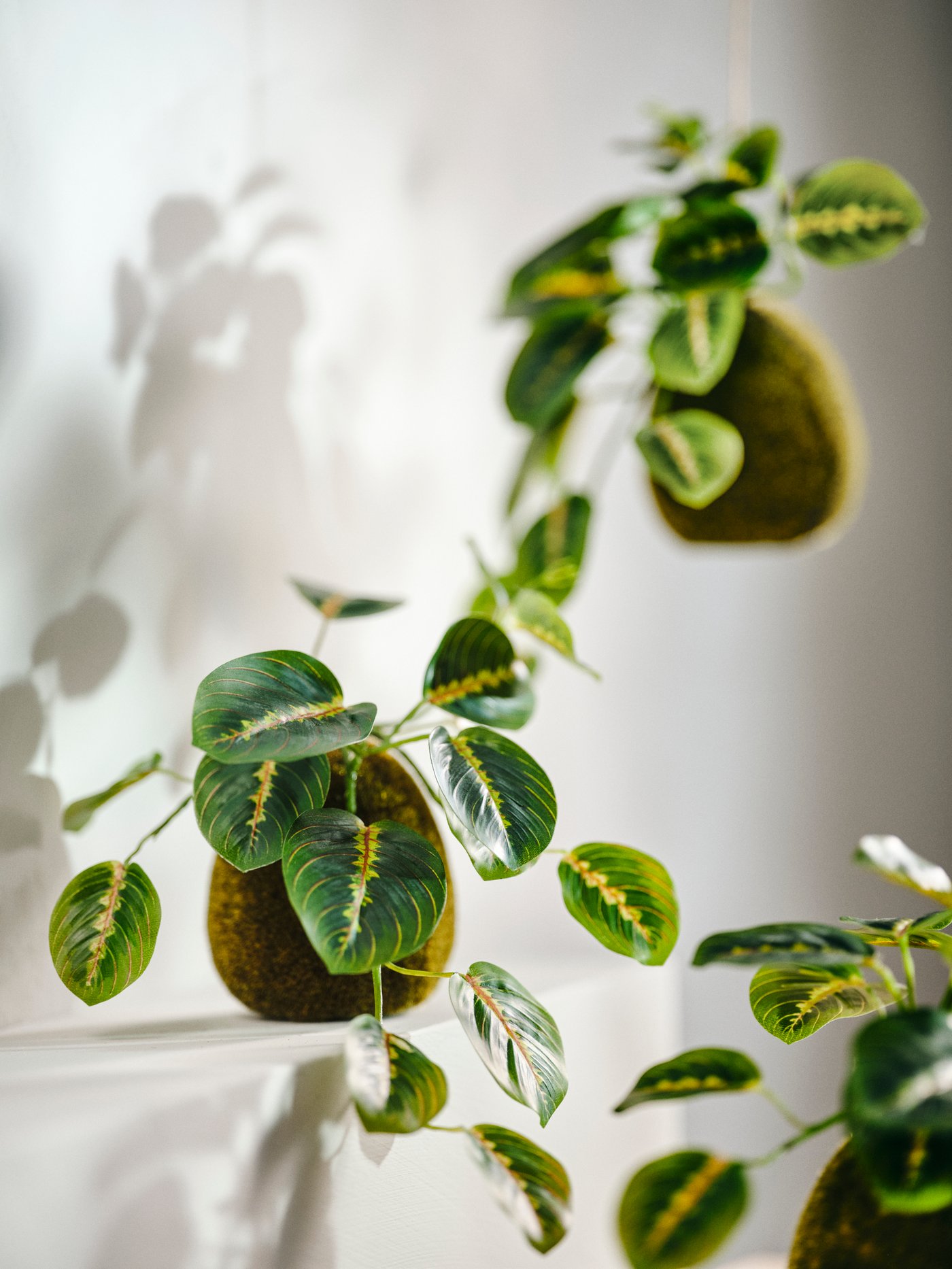 A FEJKA plant with moss balls and cascading leaves sit on a white ledge against a white wall in a light-filled room.