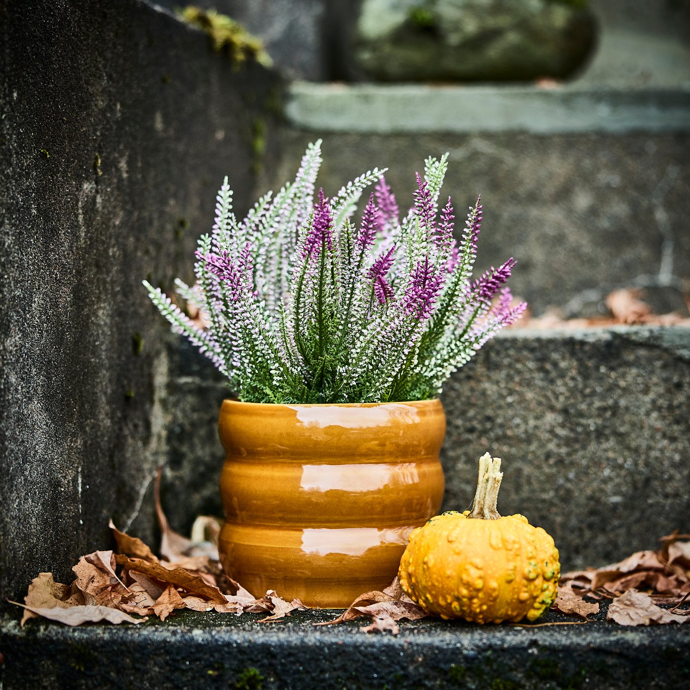 A lilac FEJKA artificial potted plant stands on an outdoor staircase next to a small yellow pumpkin and dried leaves.