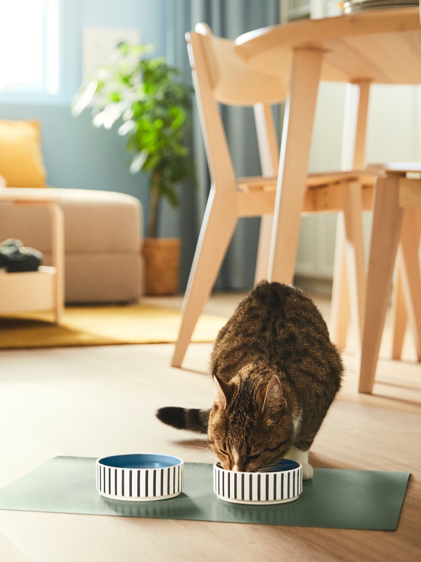 A cat eats from an UTSÅDD pet bowl which is beside another UTSÅDD pet bowl on an UTSÅDD place mat for food bowl on the floor.