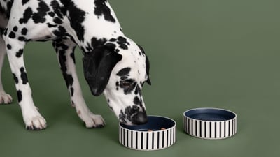 Pet products