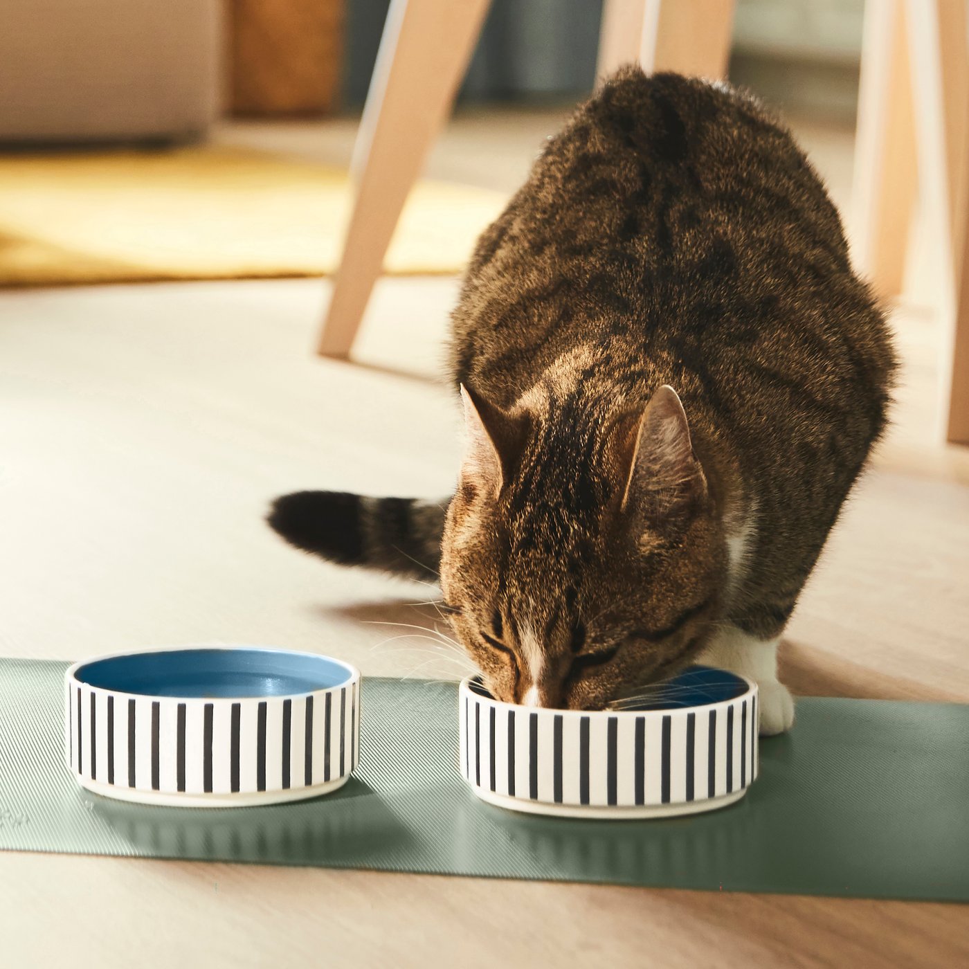 A stripe pattern black-blue/grey-blue UTSÅDD pet bowl in the dining room