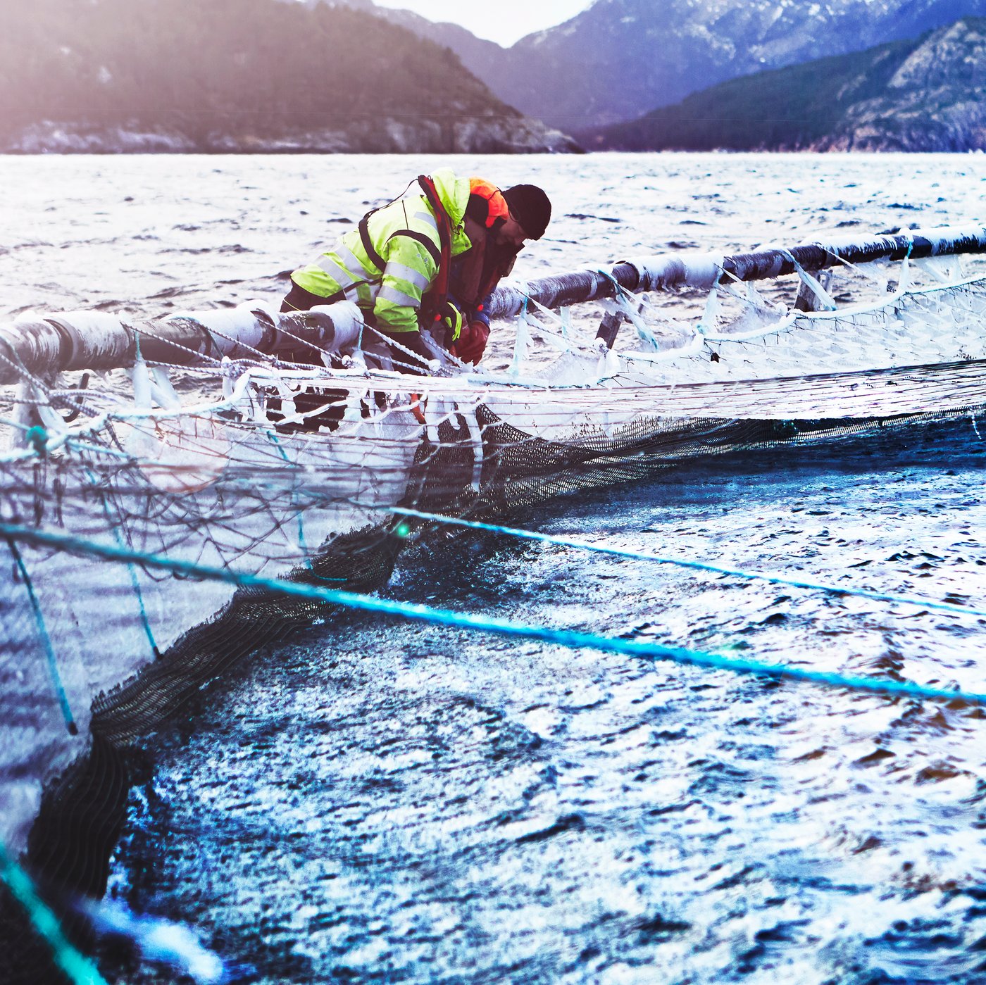 Two salmon farm workers dressed in heavy outdoor clothing tending a fish enclosure on a Norwegian salmon farm.