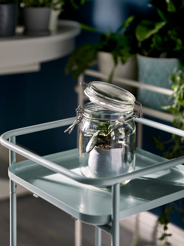 A plant stand holding a single glass jar with a small plant in a pot in; the KORKEN lid slightly ajar.