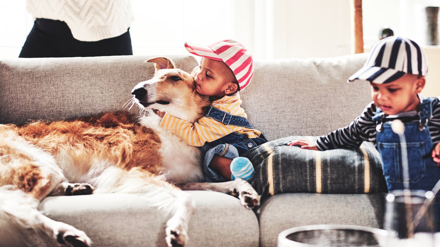 Two children sit on a light gray colored couch with a dog. The one child is hugging the dog.