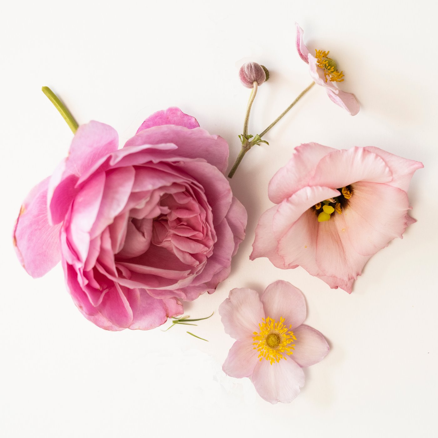 Vela aromática LOTSFÅGEL aroma Flores rosas en un recipiente de vidrio color rosa pálido, en un espacio interior.