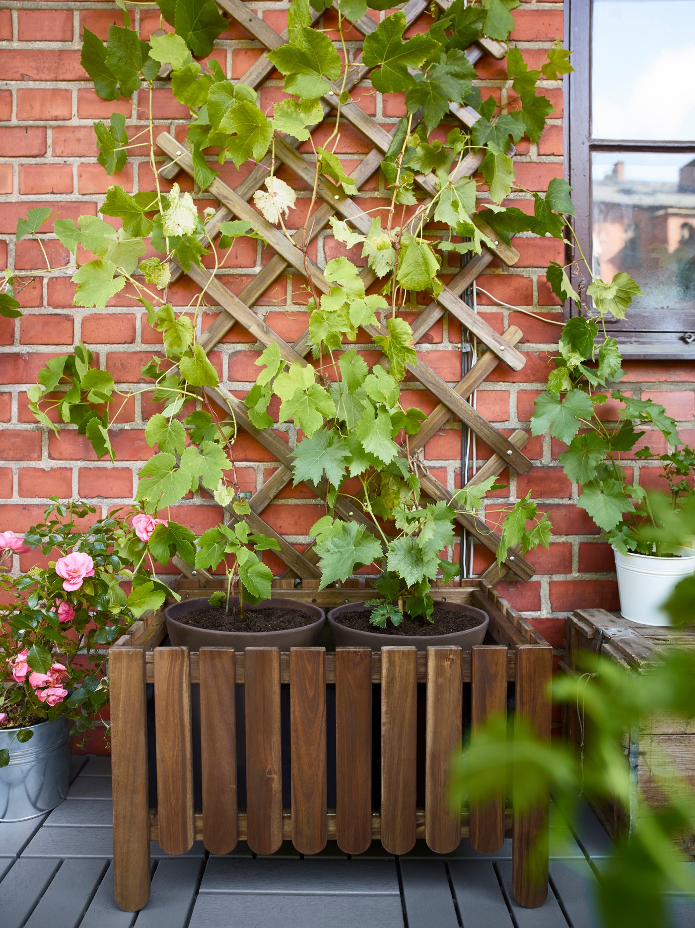 An ASKHOLMEN plant trellis