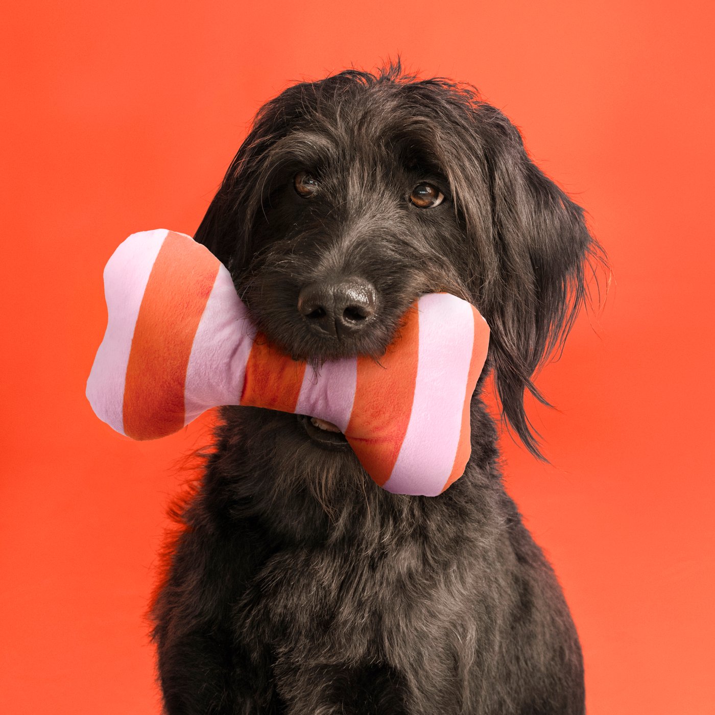 UTSÅDD (30625204) soft toy for dog (Global art.no. 80625206)
https://ikea.marat.qd.je/th/en/p/utsadd-soft-toy-for-dog-striped-light-pink-bright-orange-30625204/ 