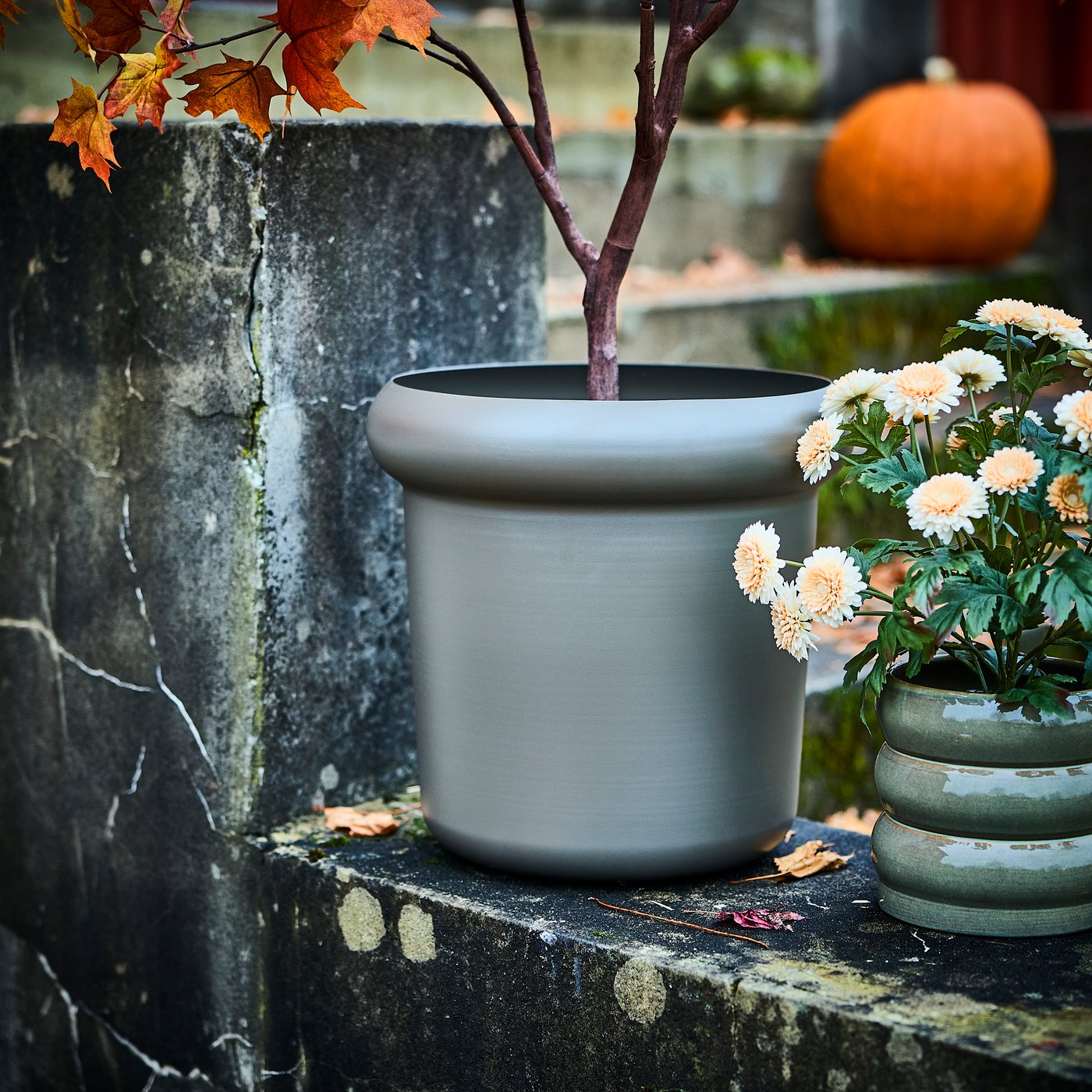 An in/outdoor/Chrysanthemums light orange FEJKA artificial potted plant in the dining room