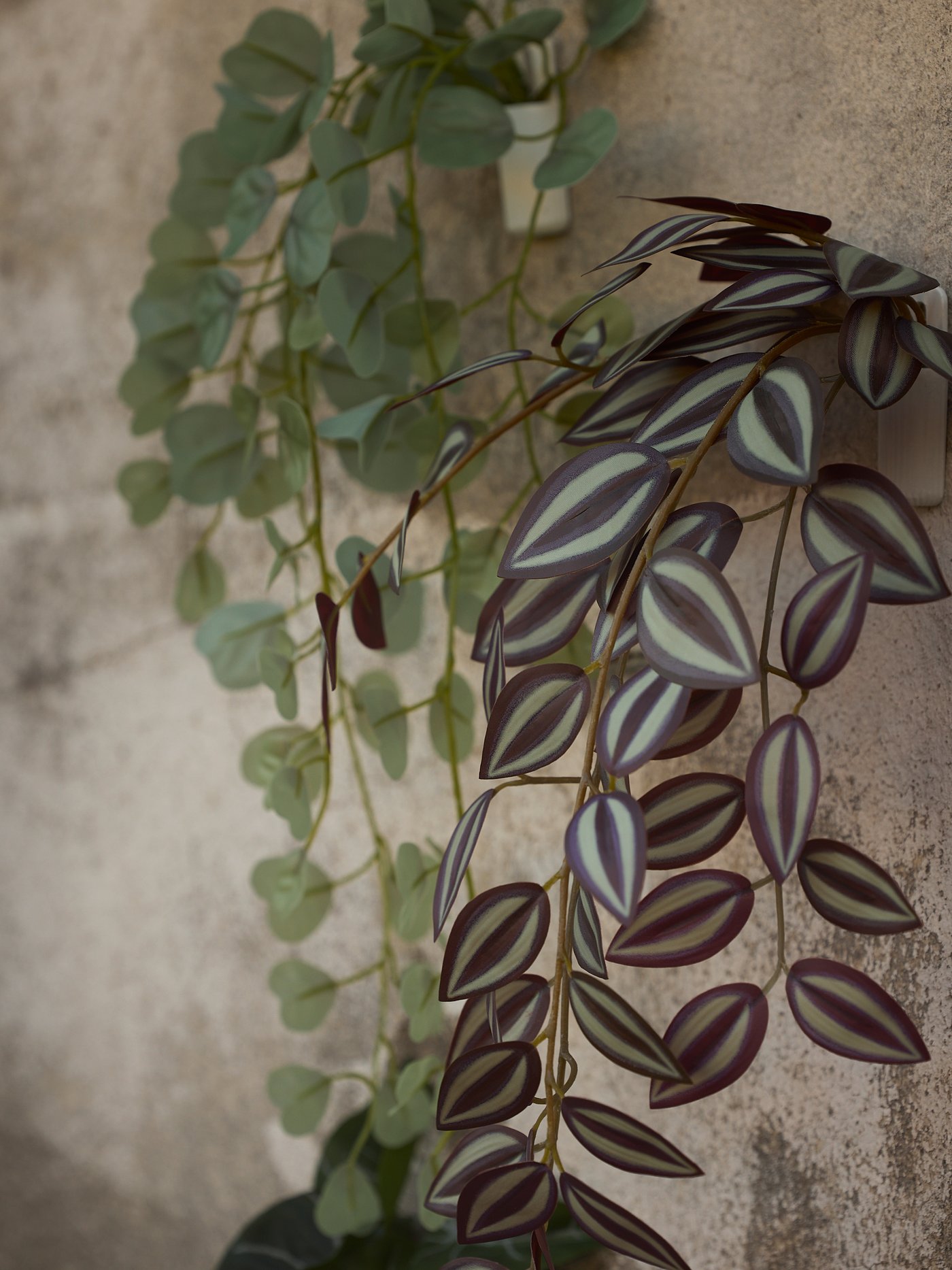 FEJKA plants hanging down a wall