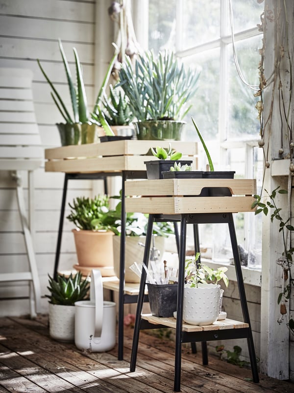 plant stand