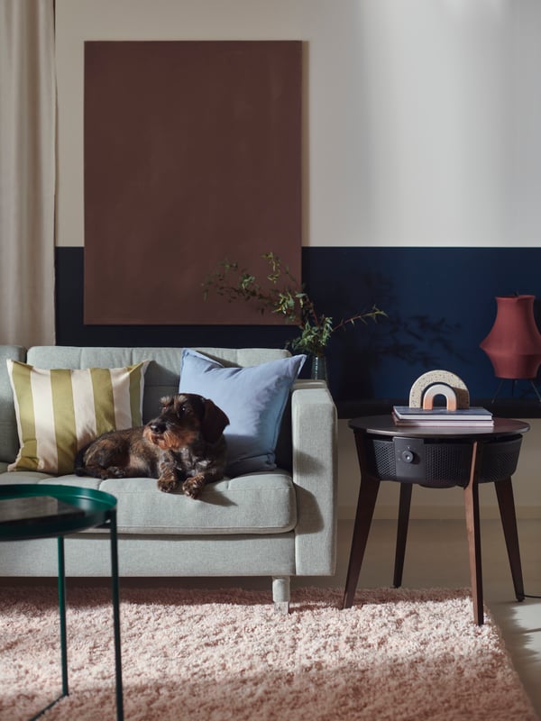 A small dog resting on a LANDSKRONA sofa looks to its right. A STARKVIND table with air purifier is beside the sofa.