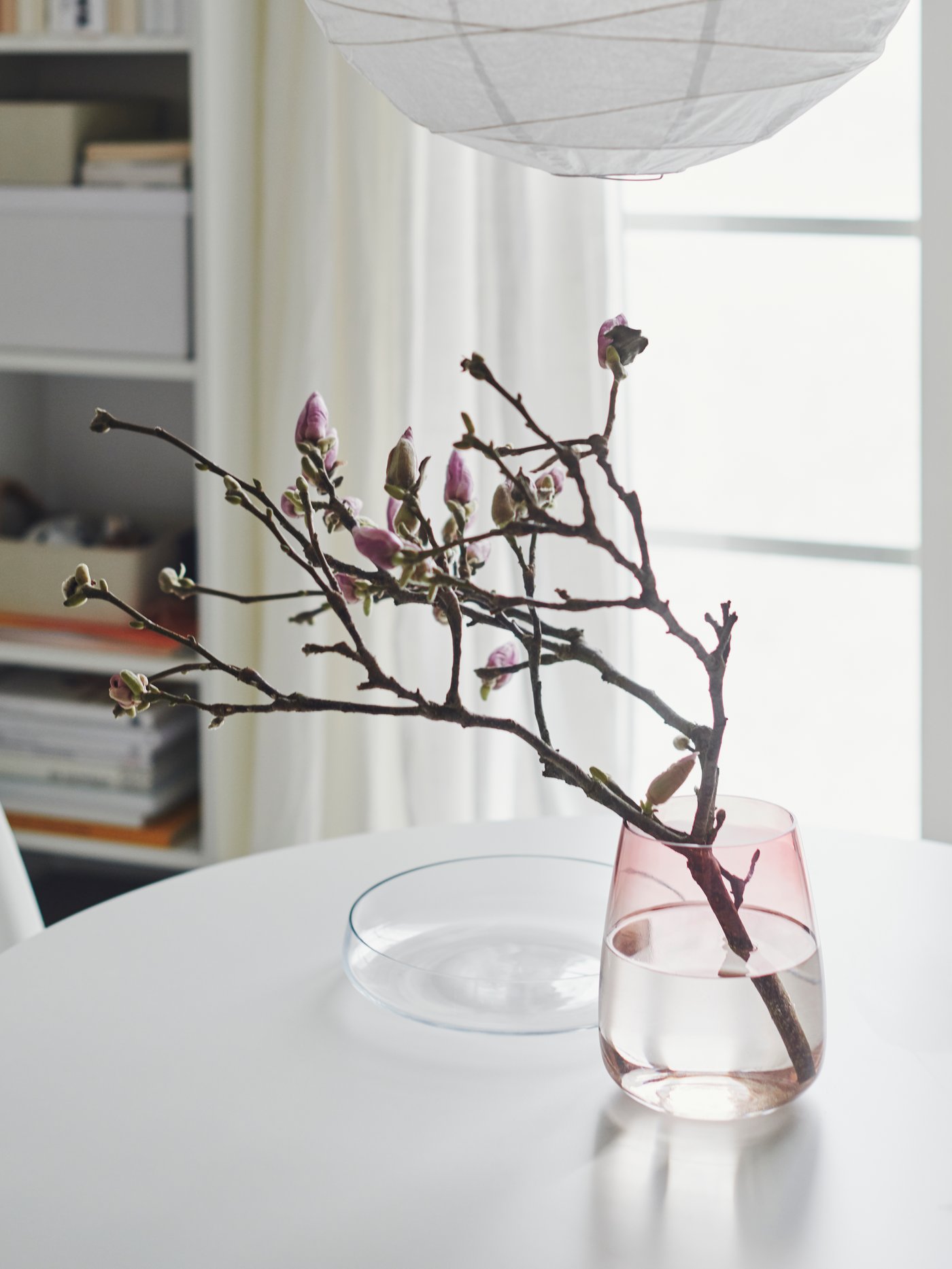 Vas kaca BERÄKNA berwarna merah jambu gelap diletakkan tangkai magnolia bertunas diletakkan pada atas meja berwarna cerah di ruang yang cerah.