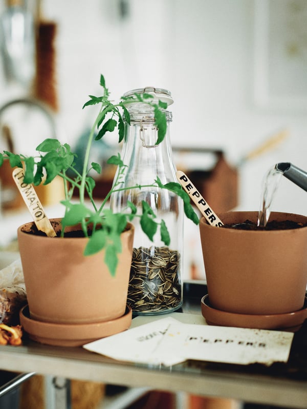A spout is pouring water over a small KLARBÄR terracotta pot with a stick that says “pepper”. Another pot says “tomatoes”