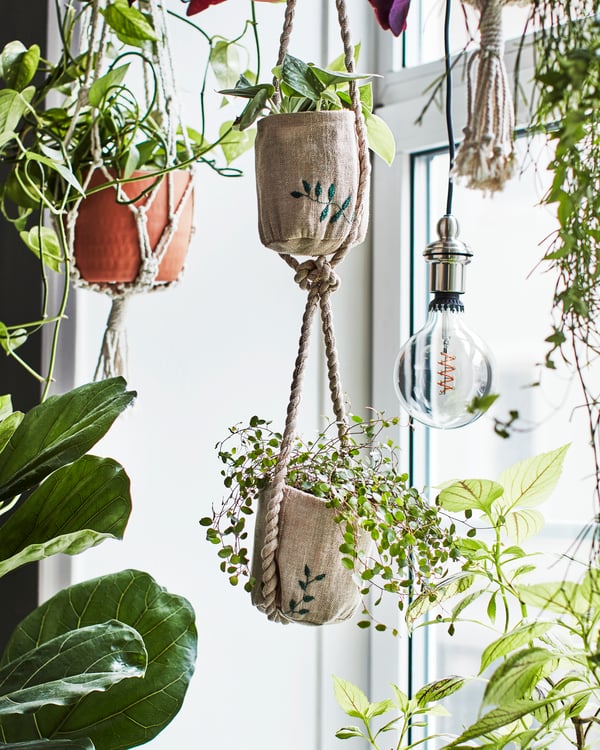 BOTANISK držač saksije ručne izrade visi iznad prozora.