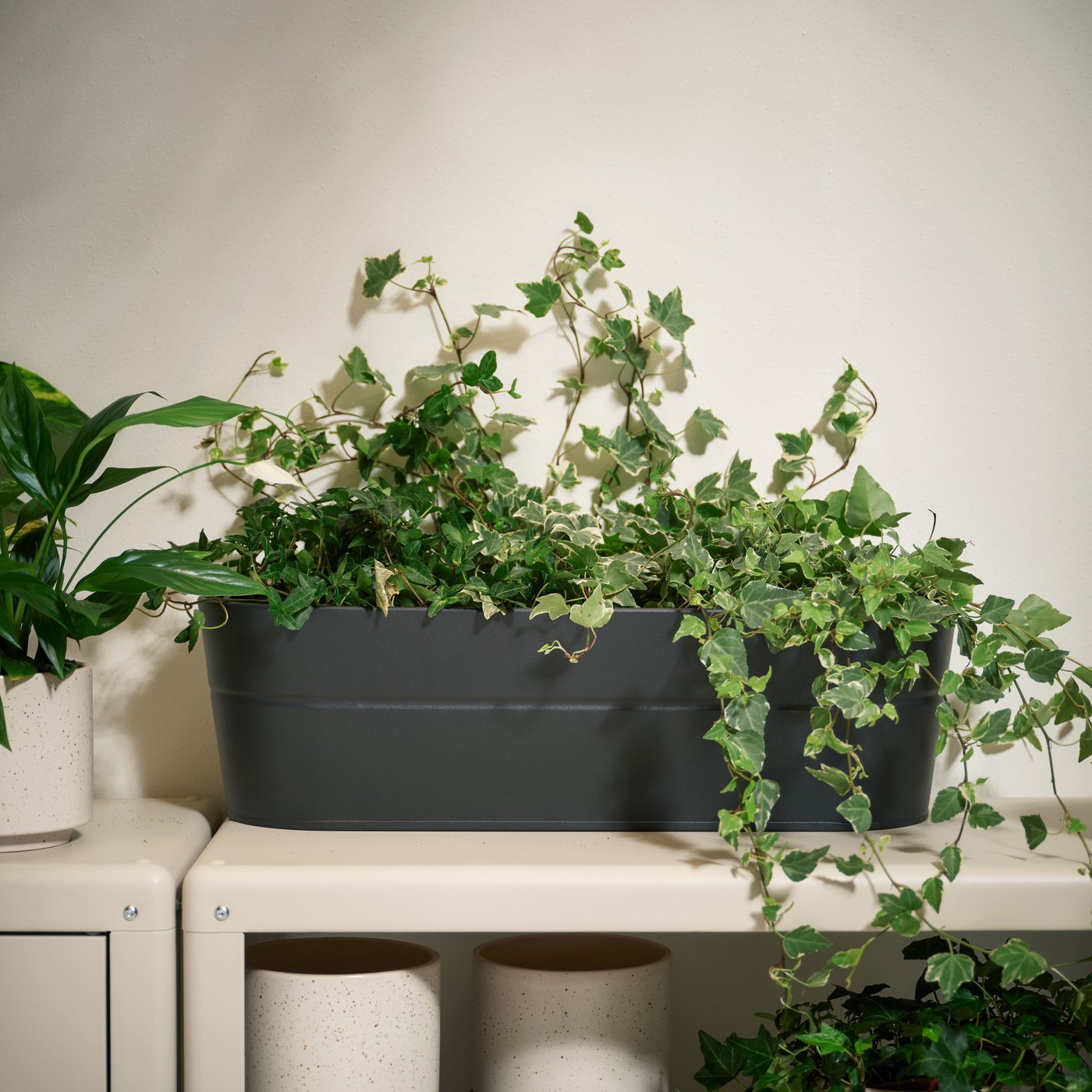 An in/outdoor/anthracite VITLÖK flower box with holder