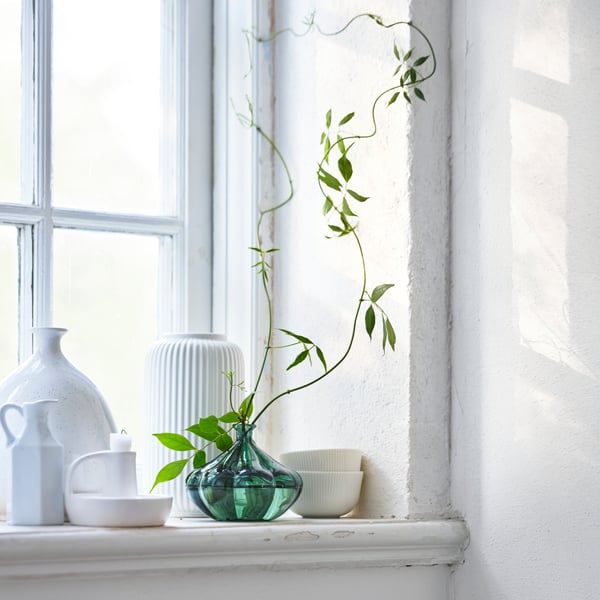 Un vase en verre vert est posé sur le rebord d'une fenêtre à côté de vases blancs et des vrilles vertes en sortent.
