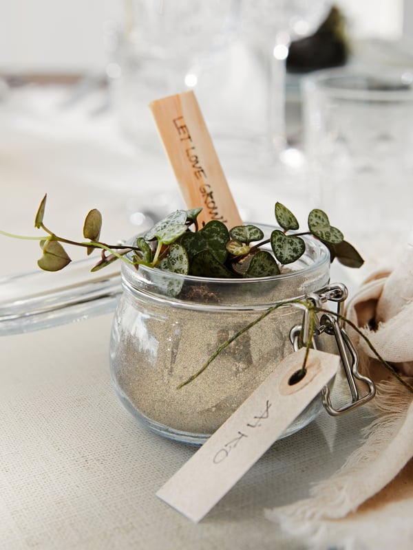 Sur une table de fête, petite plante verte dans un bocal en verre KORKEN, orné d’une étiquette nominative et d’un petit message.