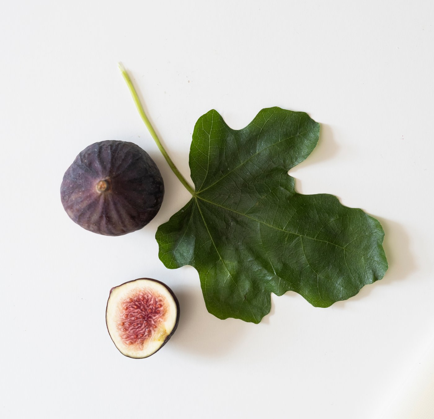 A Fig leaf green LOTSFÅGEL scented candle in glass