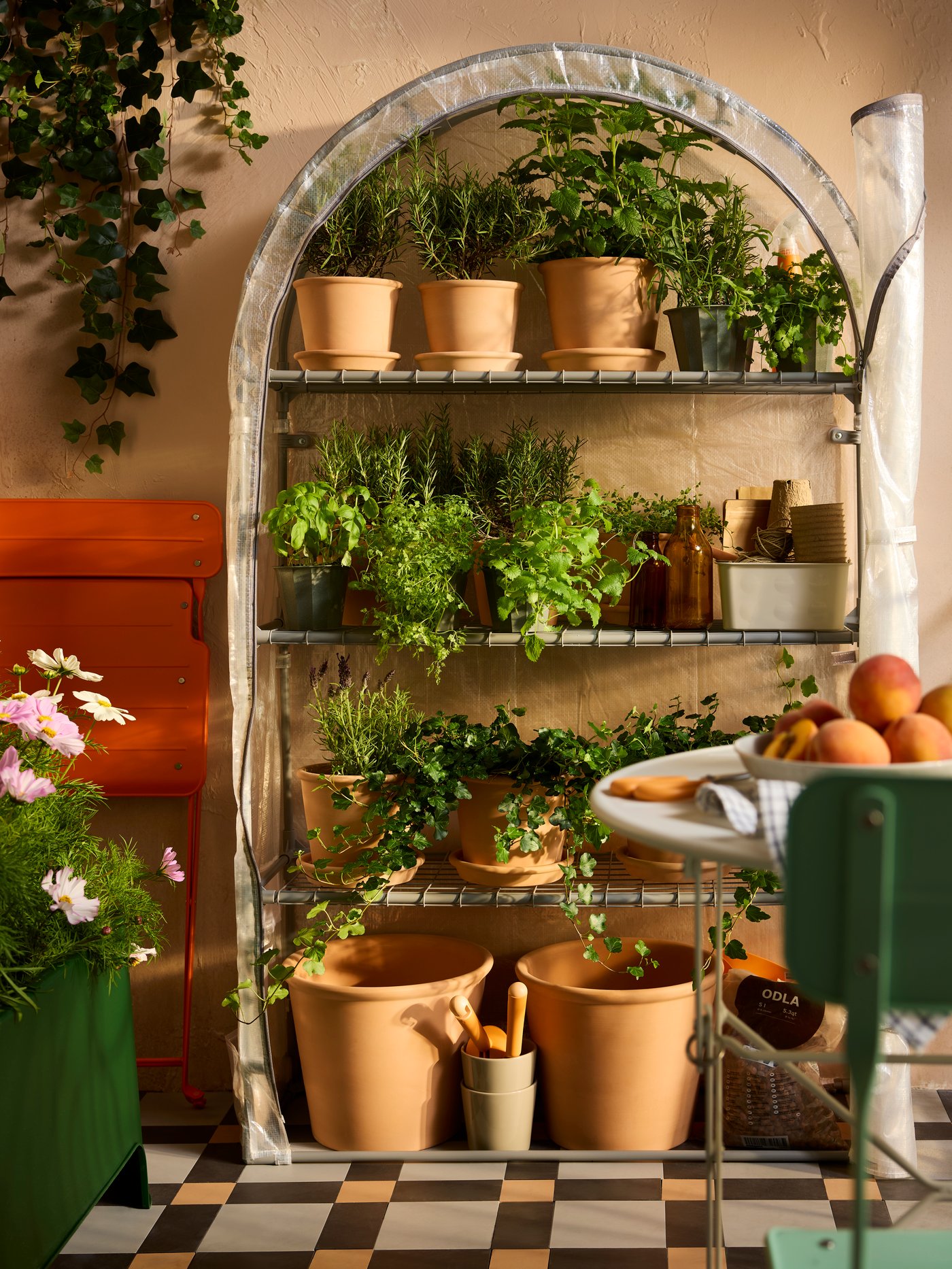 A balcony wall with a closed ASPAREN greenhouse with four shelves filled with plants in different-sized clay pots.