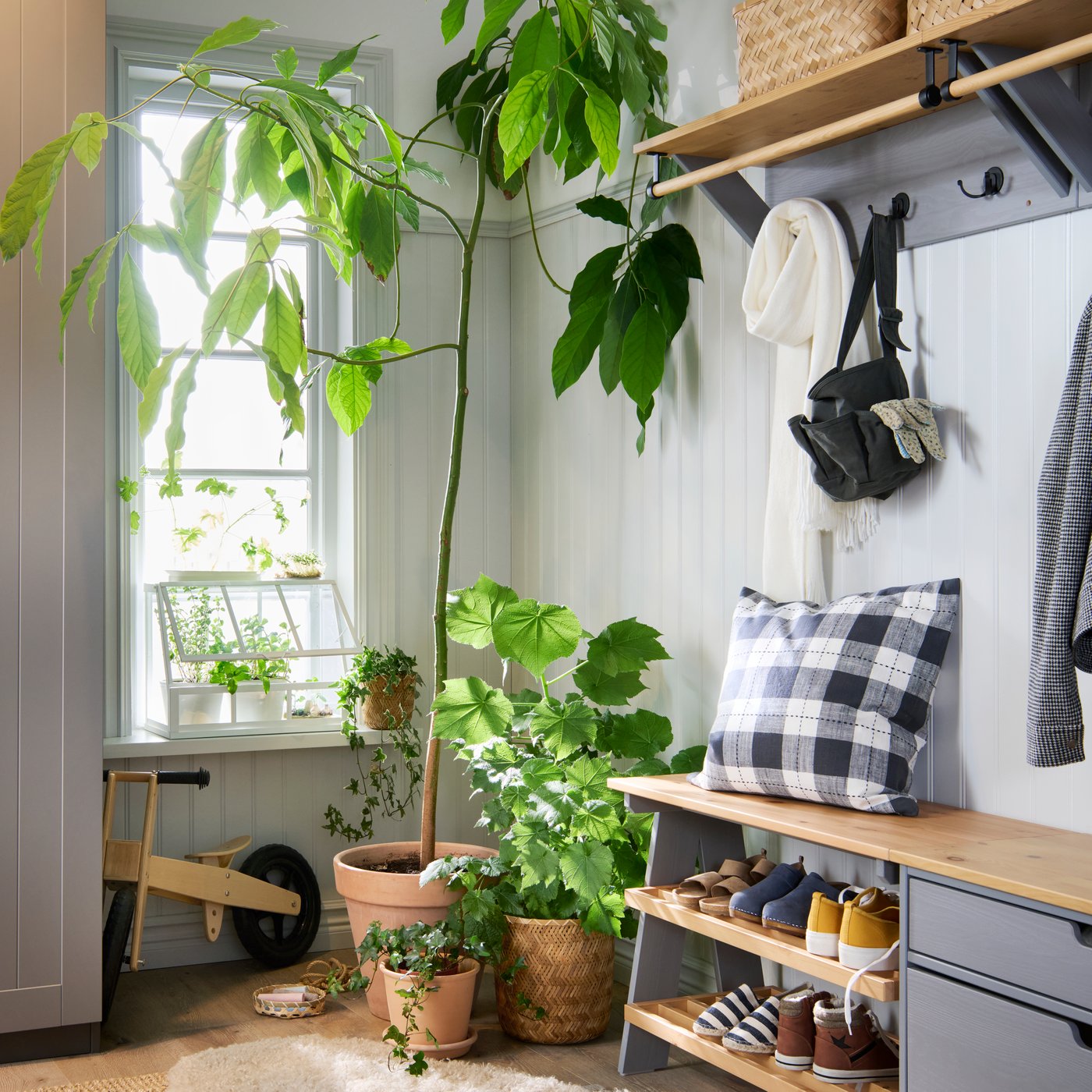 The corner of a large hallway with a window and green plants in the back. KALLSÖ storage units along wall to the right.