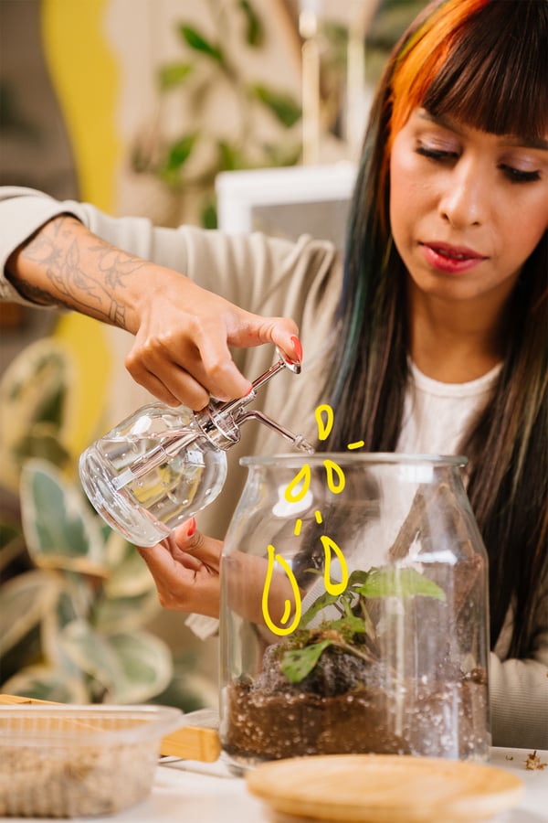 Eine Person nutzt einen SESAMFRÖN Pflanzensprüher, um eine Pflanze in einem Glasgarten mit Wasser zu besprühen.