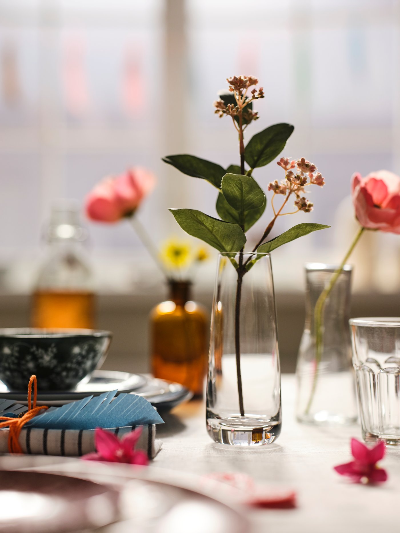 Plant & Flowers