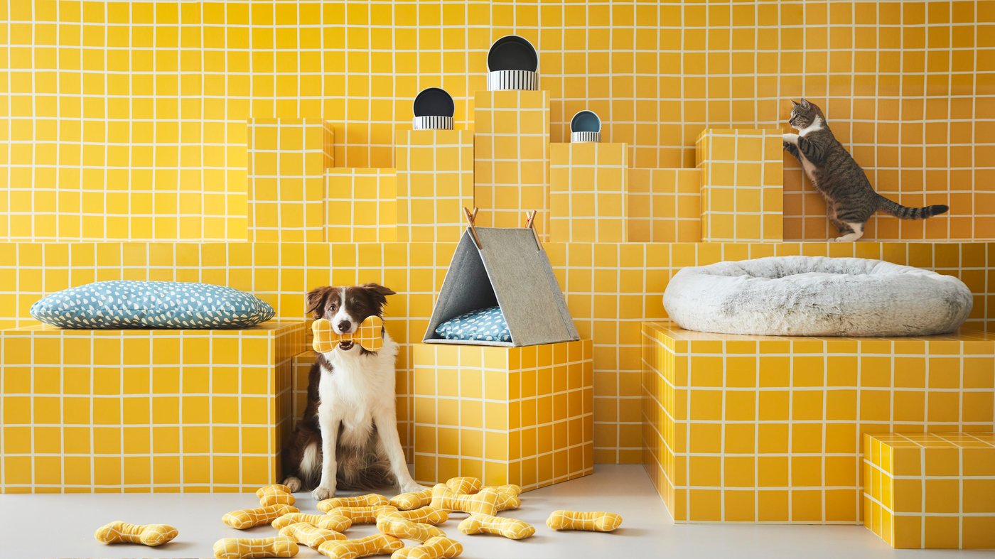 An yellow UTSÅDD soft toy for dog